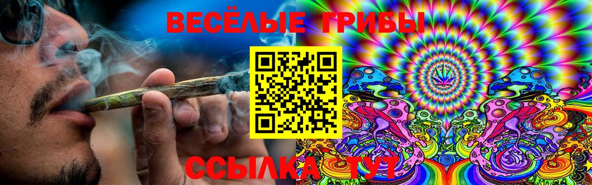 Псилоцибиновые грибы Psilocybe Гусиноозёрск
